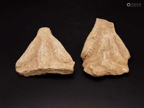 Pair Of Indus Valley Stone Fragments, Depicting Wheat