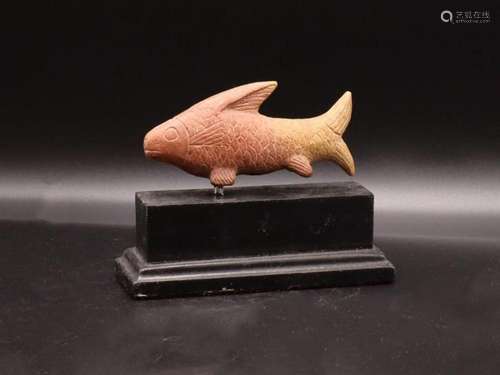 Middle Eastern Stone Fish