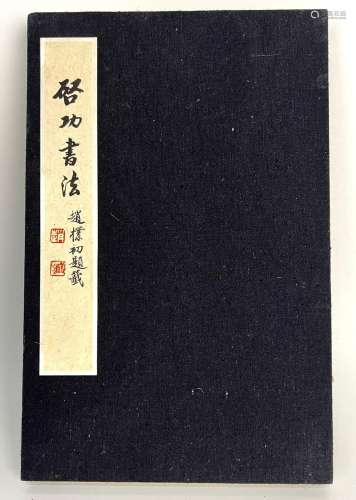 Chinese Calligraphy Album