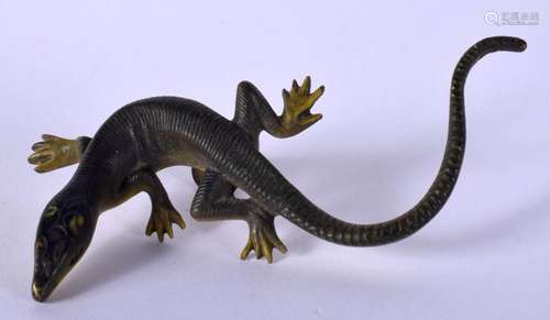 AN ANTIQUE AUSTRIAN COLD PAINTED BRONZE LIZARD. 9 cm x 3.5 c...