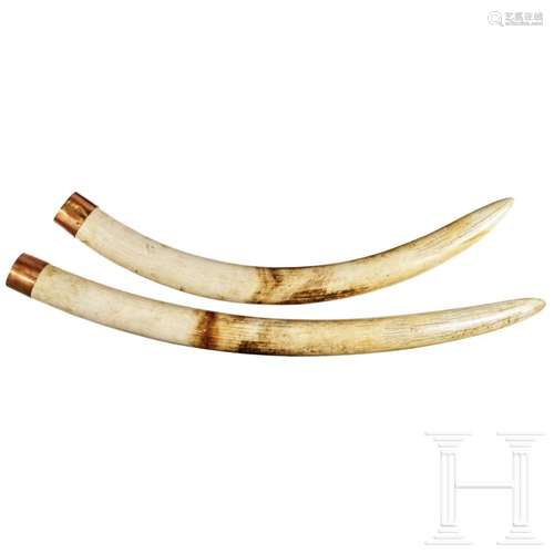 A pair of Zimbabwean elephant tusks, 20th century