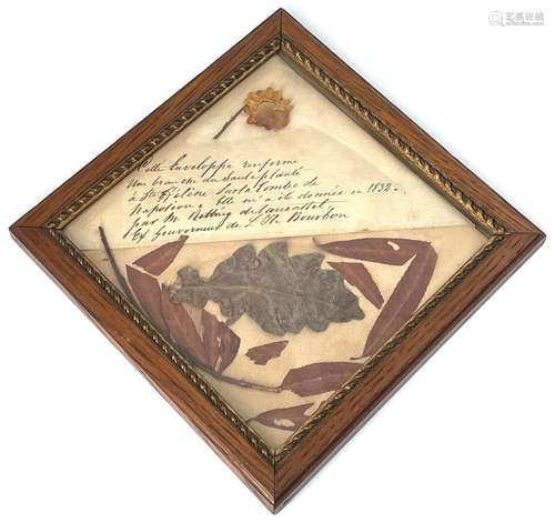 Branche de feuille et fleur avec billet manuscrit «cette env...