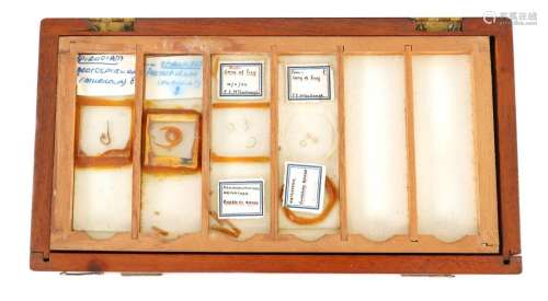 A BOXED COLLECTION OF 19TH CENTURY SCIENTIFIC SLIDES