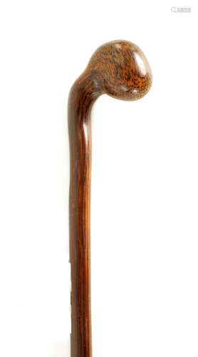 AN UNUSUAL 19TH CENTURY SOUTH ISLANDS PALM WOOD WHIP