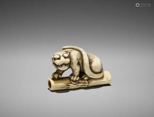 A POWERFUL KYOTO SCHOOL IVORY NETSUKE OF A TIGER ON BAMBOO