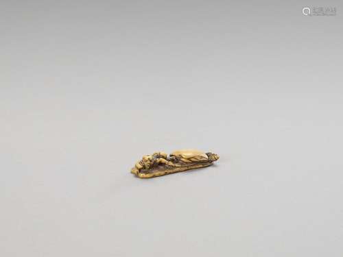 A RARE IVORY SHUNGA NETSUKE OF A KAPPA WITH ITS FOOT STUCK I...