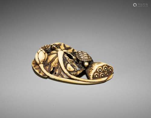 A FINE WALRUS IVORY NETSUKE OF TORTOISES, CRAB AND LOTUS, AT...