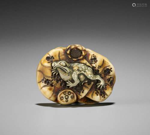 A METAL-INLAID WALRUS IVORY NETSUKE WITH FROG AND LOTUS