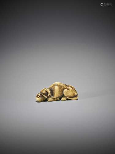 A FINE IVORY NETSUKE OF A RECUMBENT OX