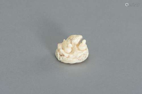 A MARINE IVORY NETSUKE OF TWO DUCKS ON A ROCKY PLINTH