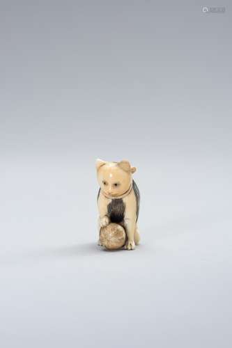 AN IVORY NETSUKE OF A PIEBALD CAT WITH A BALL