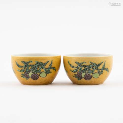 FRUITING ABUNDANT SANCAI MOTIF FAMILLE JAUNE BOWLS