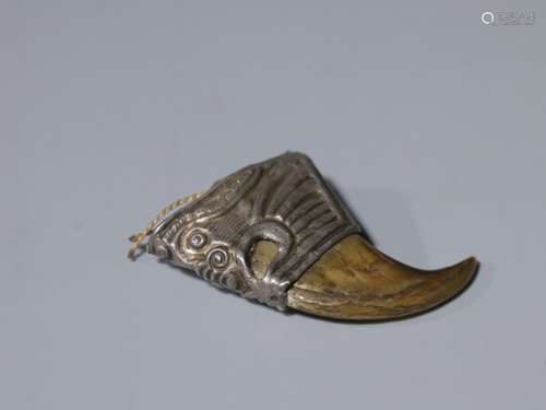 Animal Tooth w Silver Mount