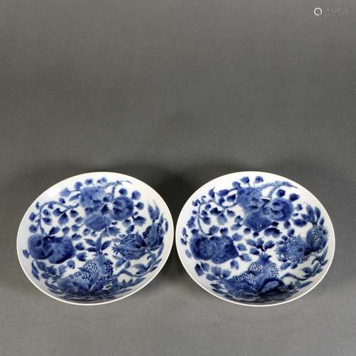 Pair Of Blue And White Porcelain 