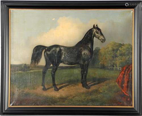 ANONYMOUS, PORTRAIT OF A HORSE, CANVAS CA. 1900