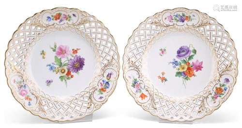 A PAIR OF MEISSEN BOTANICAL PLATES, LATE 19TH CENTURY, with ...