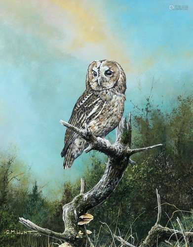 ALAN M. HUNT (BORN 1947), TAWNY OWL, signed and dated 1974 l...