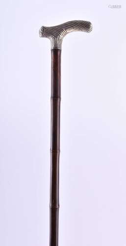 Walking stick around 1900