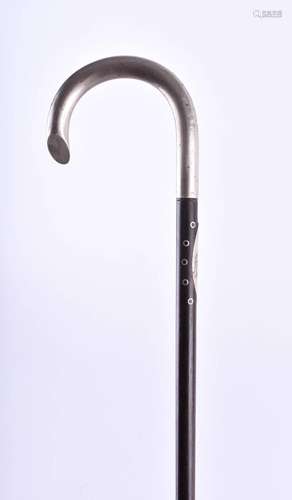 Walking stick around 1900