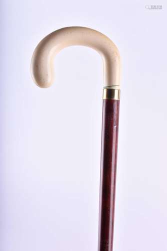 Walking stick around 1900