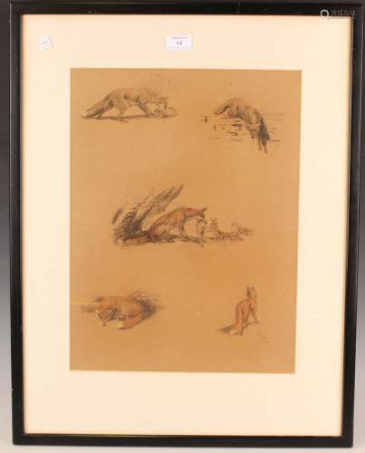 Raoul Millais - Studies of Foxes, pastel with coloured chalk...
