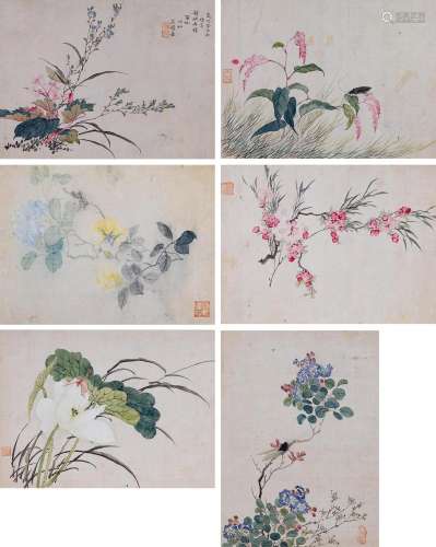 Collection of Zuo Xijia's Painting On Birds and Flowers