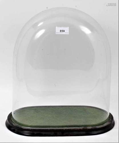 Victorian glass dome on ebonized plinth