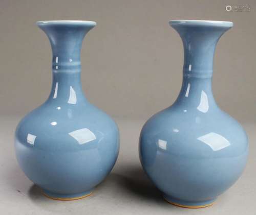 A Pair of Chinese Porcelain Vases