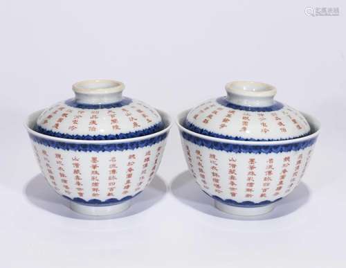 A Pair of Porcelain Cups with Cover