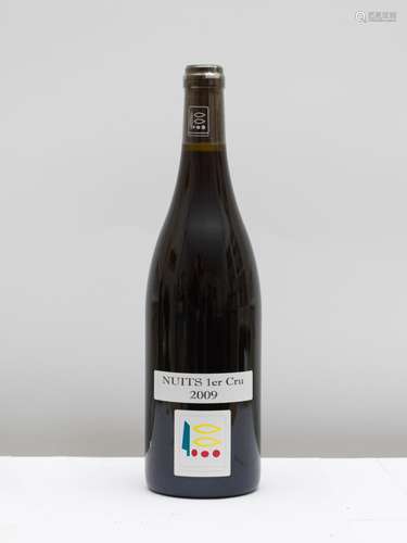 1 bouteille Nuits Saint Georges 2009 - Capsule CRD 1 bottle ...