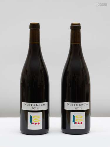 2 bouteilles Nuits Saint Georges 2018 1er Cru Prieure Roch -...