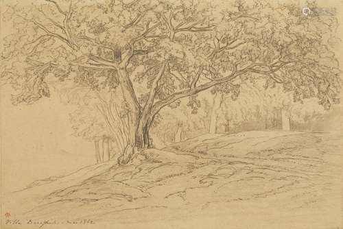 433-Auguste ANASTASI (1820-1889)
Paysage arboré; 1862
Encre ...