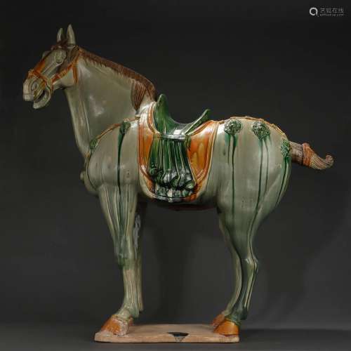 A Sancai Glazed Standing Horse