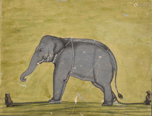 AN INDIAN MINIATURE PAINTING DEPICTING A CHAINED ELEPHANT