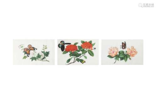 THREE CHINESE PITH PAPER PAINTINGS OF FLOWERS AND BUTTERFLIE...