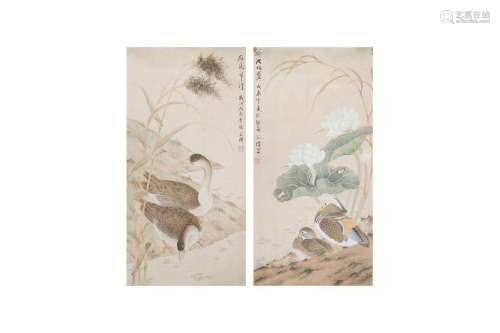 A PAIR OF CHINESE PAINTINGS OF BIRDS.