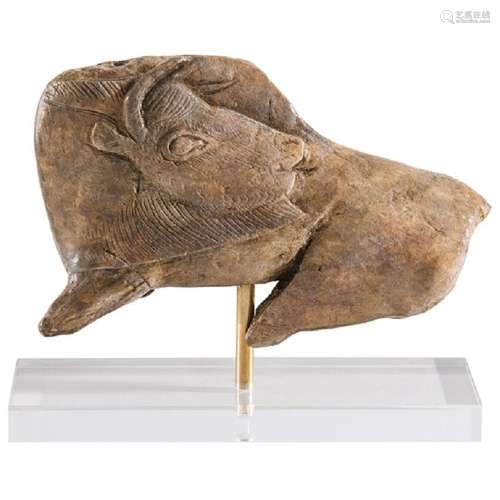 Bison préhistorique