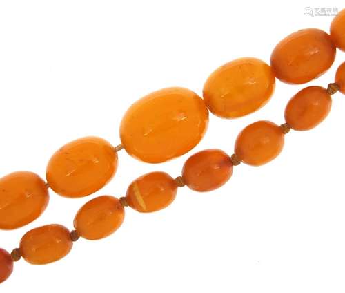 Two graduated amber coloured bead necklaces, the largest 58c...