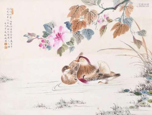 LIN HUIYIN, MANDARIN DUCK