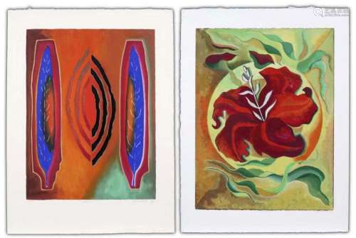 VAN DELFT JAN (° 1928) twee prints in kleuren : - n° 83/165 ...