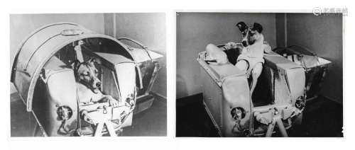 Laika, the first animal to orbit the Earth (2 views), Sputni...