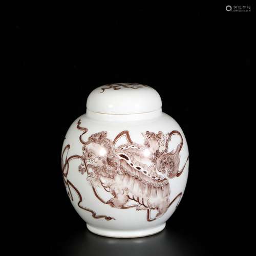 Fanhong Porcelain Jar,China