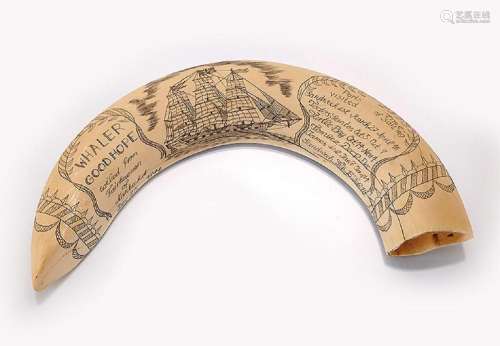 Souvenir walrus-tusk, dat. 1844
