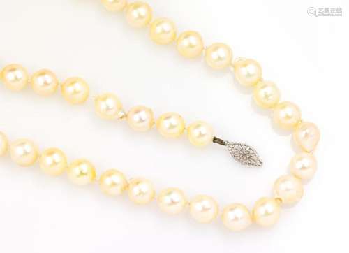 Chain made of cultured akoya pearls with 14 ktgold clasp