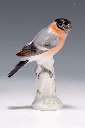 figurine, Meissen, 20th c., bullfinch on stump