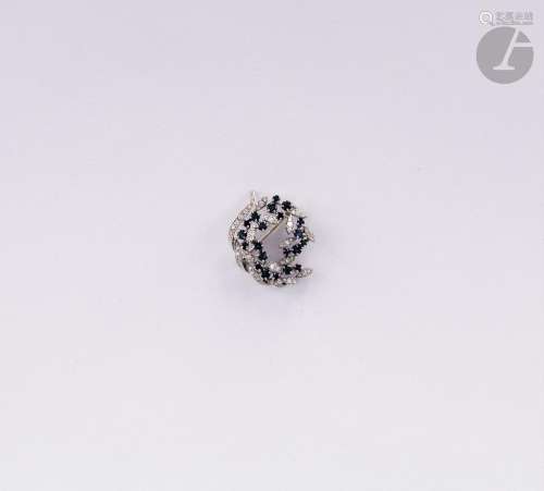 Broche gerbe d'or gris 18K (750), sertie de diamants ron...