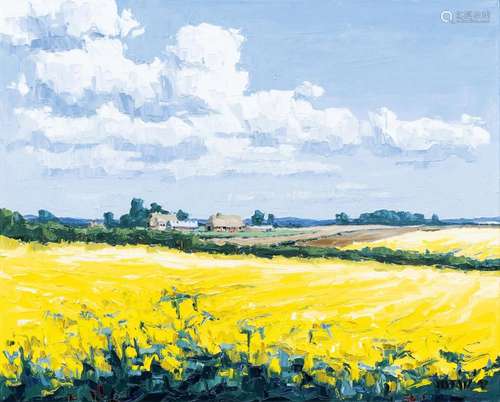 Stefan Dobritz (Lübeck 1965). Blooming Rapeseed.