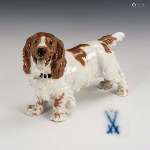 COCKERSPANIEL. MEISSEN.