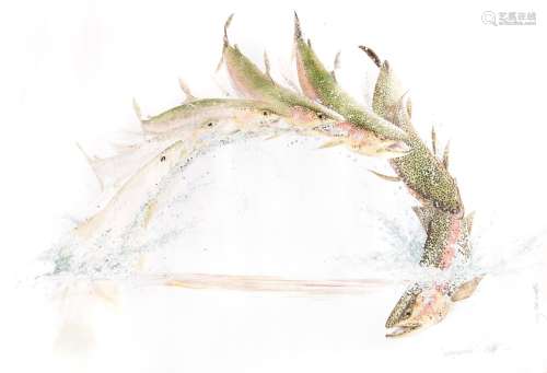 SIGNED PRINT OF TROUT