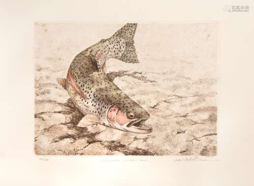 RAINBOW TROUT LITHOGRAPH 180/250 BY M. STIDHAM